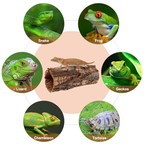 Homoyoyo Natural Cork Bark Round Reptile Hideout-hollow Tree Trunk Climbing Hide-wooden Terrarium Decor Shelter Cave for Gecko Lizard Snake Spiders Hermit Crab Habitat Accessories-rainforest Terrarium - color: Coffee