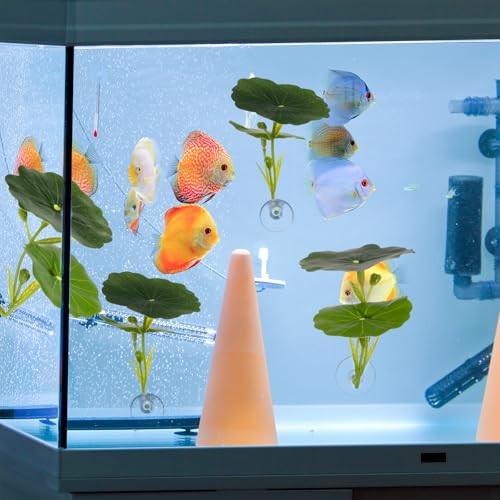 3 Pcs Betta Fish Leaf Hammock, Practical Betta Resting Spot Soft Aquarium Decor Betta Leaves Fish Hammock for Sleeping Resting Hiding Playing