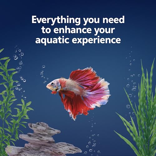 Aqueon LED MiniBow Small Aquarium Fish Tank Kit with SmartClean Technology, Black, 5 Gallon - color: Black, size: 5 Gallon