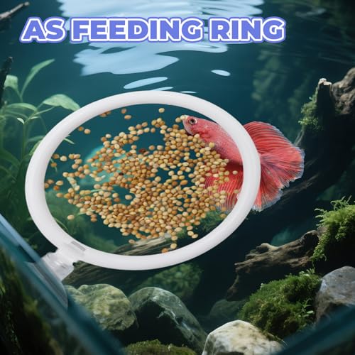 Beta Fish Aquariums Accessories, 1 Fish Mirror with Floating Ball & 2 Exercise Training Ring Toys, Fish Feeding Ring, Betta Fish Toys Set for Tank, Enrichment Toys for Fish - color: white ring