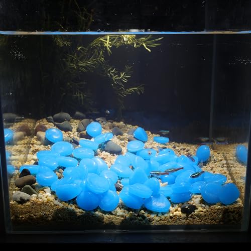Oubest Fish Tank Rocks Glow in The Dark Pebbles for Garden Aquarium Plant PotsBonsai Walkway Driveway 100pcs Blue - color: Blue