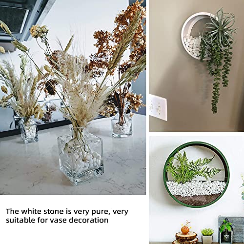 White Pebbles for Plants Garden 18 lb White Rocks Gravel Decorative Stones Landscaping Vase Fillers 1/2" - size: 18LB, style: White