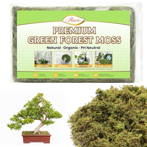 Riare 7OZ Artificial Fake Moss for Fake Plants Indoor- Premium Faux Craft Moss for Potted Plant, Fresh Forest Green Moss for Hamsters Micro-Landscape Terrariums Centerpieces Decor - color: 7 Oz