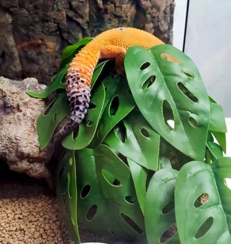 Reptile Plants for Terrarium Decor,Amphibian Habitat Decor, Bearded Dragon Tank Accessories,Artificial Plants for Gecko Chameleon Snake Tortoise with Base (Swiss Cheese) - color: Swiss Cheese