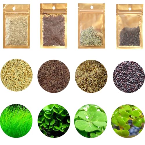 4 Aquarium Plants S.e.e.d Set, not Artifical, Fish Tank Decor Replacement for Resin or Plastic Grass