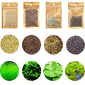 4 Aquarium Plants S.e.e.d Set, not Artifical, Fish Tank Decor Replacement for Resin or Plastic Grass