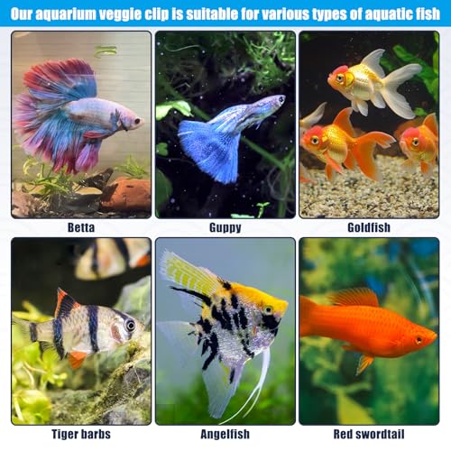 Magnetic Aquarium Veggie Clip Plant Feeding nori Seaweed Clip for Saltwater Fish Aquarium Magnet Lettuce Food clamp Fish Accessories—Patented Product (2pcs Magnetic Veggie Clip)
