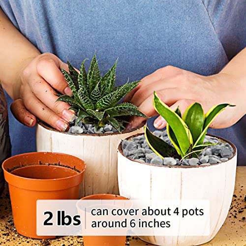 YISZM 2LB Succulent and Cactus Gravel Pebbles, 1/5 Inch Natural Decorative Polished Stones, River Rocks for Plants, Vases, Aquariums, Terrarium and Outdoor Gardening,Grey - color: Grey, size: 2 Pounds