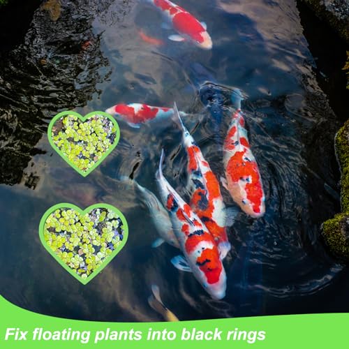 PEUTIER 5pcs Aquarium Floating Plant Rings, Foam Betta Fish Feeding Rings Heart Shaped Fish Tank Feeder Plant Fence Corral Keep Floating Plants in Place & Out of Filters Decor (Green)