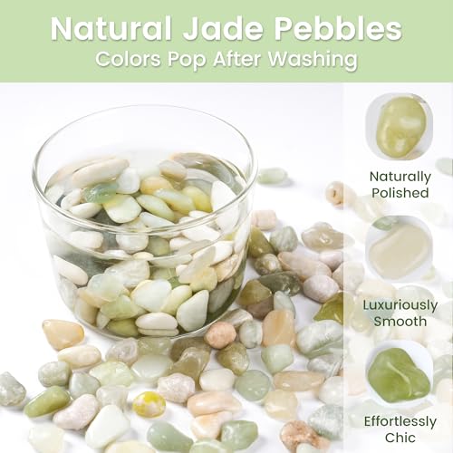 SIDONG 10 LB Jade Pebbles, 2/5 Inch Natural Decorative Polished Jade Stones, Jade River Rocks for Succulents, Cactus, Vases, Indoor Plants, Garden Landscaping, Bamboo - color: Jade, size: 10 Pounds