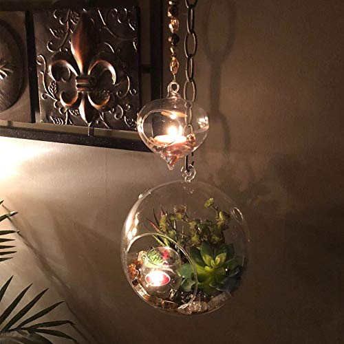 WGV Hanging Terrarium Globe, Width 8", Height 9", DIY Air Succulent Planter, Clear Glass Vase Orb with Flat Bottom, Candle Holder for Windowsill Outdoor Garden Decor, 6 Pieces Bulk - size: 8" Flat Bottom