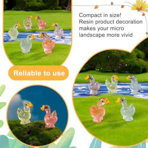 60 pcs Mini Resin Swan Many Styles Variety Tiny Luminous Animals Figures Miniature Little Small Animal Figurines Bulk for Micro Fairy Garden Landscape Accessories Hide Crafts Decor Aquarium - color: Swan-60p