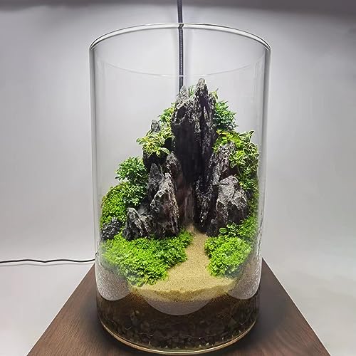 FZONE Resin Seiryu Stone Model Ph-Neutral Aquarium Rocks for aquascaping, Micro-Landscapes - size: 02 Seiryu Stone 7.48" × 5.51" × 7.87"