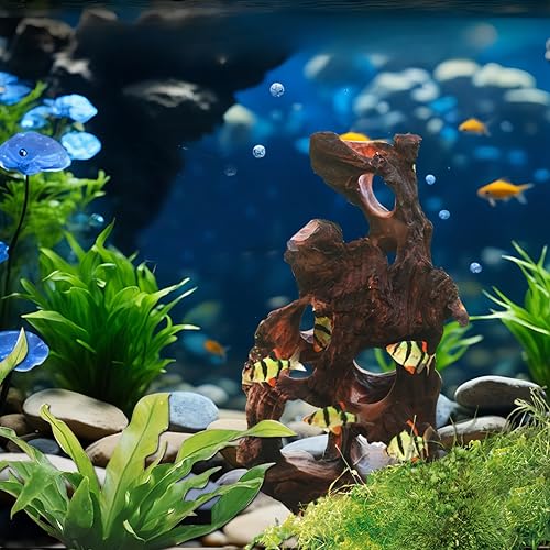 Natural Wood Aquarium Cave Betta Fish Hideout for Aquarium Fish Tank Decorations-Reptile Hide-Snake Hide-Cave for Cichlids Habitat Shelter for Crayfish Shrimp and Other Aquatic Pets 9-11.8" - color: multi-hole, size: 10.2-11.8 Inch