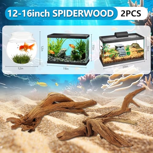 2 Pcs Natural Large Driftwood for Aquarium, Aquarium Driftwood Freshwater 12-16 Inch, Assorted Size Mopani Wood, Twisted Branches for Fishtank Accessories, Reptile Terrariums Decorations - color: 2 Pack Mopani Driftwood 12-16in