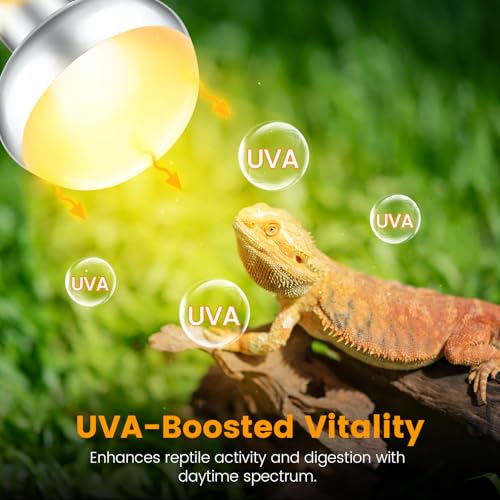 REPTITRIP Dual Reptile Light Fixture with 100W Daytime Heat Bulb & 100W Nighttime Ceramic Heat Emitter, 2 Independent Switches, Reptile Heat Lamp Combo Pack - No UVB - size: ST1