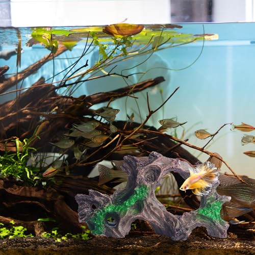 RUIAN Aquarium Tree Root Decor with Plants-Betta Fish Tank Ornament, Realistic Brown&Green Resin Hideaway Shelter for Small Fish(O Tree Root) - color: O Tree Root