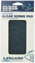 Lifegard Aquatics 4-Inch by 6-Inch Blue Algae Pad, Black, Model Number: R270912