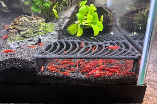 Aquarium Shrimp Tank Decorations | Corner Shrimp Hide | Shrimp Cave | Breeding Shrimp Hide | Shrimp Tunnel - size: Corner Hide