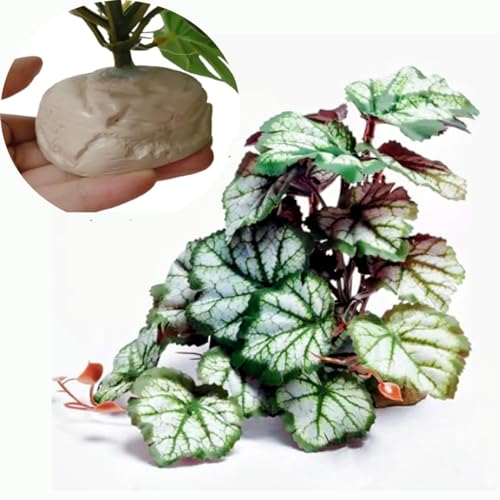 Reptile Plants for Terrarium Decor,Amphibian Habitat Decor,Artificial Plants for Gecko Chameleon Snake Tortoise Tank Accessories with Base (Green heuchera micrantha) - color: Green Heuchera Micrantha