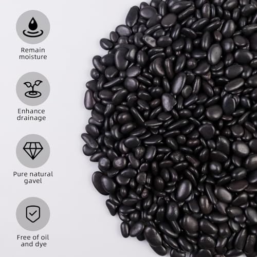 5lb River Rocks Polished Silica Gravel for Plants, Garden Decorative Pebbles Ideal for Fish Tank, Vases, Succulents, Crafting, Home Decor and Garden Landscaping, Polished Black - color: Black, size: 5LB