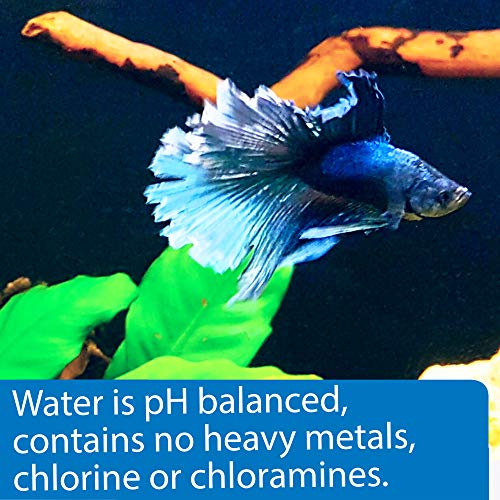 API Betta Water, 64 OZ - size: 64 oz