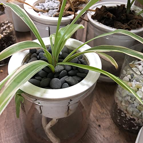 Black Rock, CJGQ 18lb River Rocks Pebbles for Plants Succulents, Decorative Outdoor Landscaping Garden Rocks, Natural Small Mexican Beach Pebbles Aquarium Rocks Gravel for Fish Tanks Vase Yard Decor - color: Black-Medium, size: 18lb