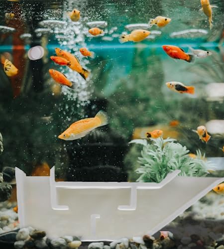 Chatelet Aquarium Underground Tunnel | Fish & Shrimp Hideout for Aquariums | Unique Underground Viewing Tunnel | Made in USA (White) - color: White