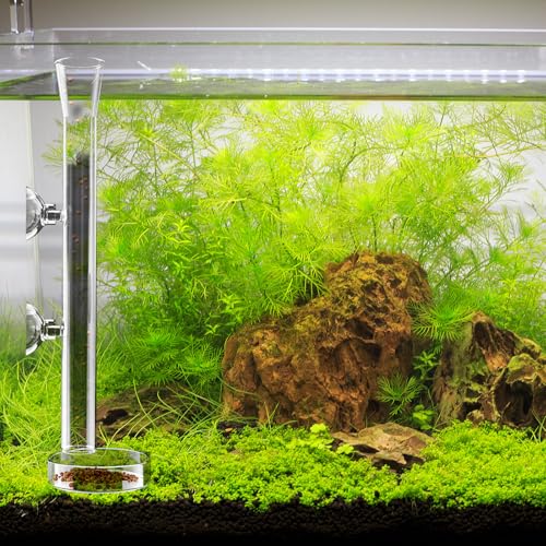 8 Pcs Shrimp Feeding Tube and Dish Fish Feeder Tube Tray for Plant Holder for Aquarium Fiberglass Fish Tank Feeding Tray (8inch)