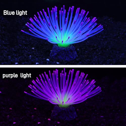 Fluorescent Rainbow Sea Urchin Aquarium Decor - Glows Under Blue Light, Weighted Silicone Ornament for Fish Tank with Swaying Spines, Saltwater & Freshwater, Vibrant Aquascape Centerpiece (Purple) - color: Purple
