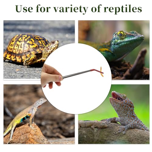 Stainless Steel Reptile Feeding Tongs, Curved Aquarium Tweezers with Rubber Tip, Terrarium Tongs for Gecko, Lizard & More, 10.63" Length, Red