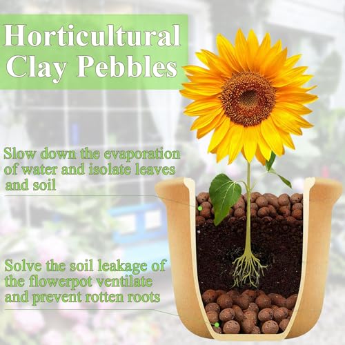 FANTIAN 2 lbs Clay Pebbles for Plants, 8-12 mm Leca Clay Balls for Indoor Plants, Orchid Potting Mixes, Hydroponic Growing, Aquaponics, Potted Top Dressing and Drainage - color: Clay Pebbles