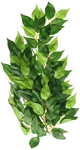 Exo Terra Silk Terrarium Plant, Medium, Ficus - color: Multi Color, size: Medium