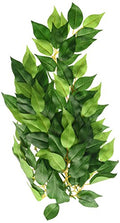 Exo Terra Silk Terrarium Plant, Medium, Ficus - color: Multi Color, size: Medium