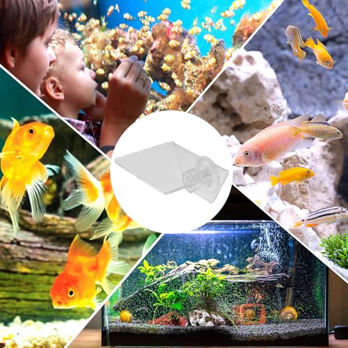 Aquarium Floating Shelf: Fish Tank Acrylic Ledge Plants Holder with Suction Cup - 4x3.2x2in Transparent Ledge for Aquarium Coral Aquatic Plants Moss - size: 10.00X8.00X5.00CM