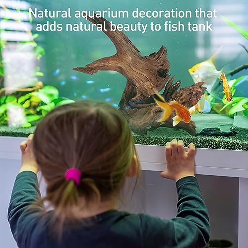 Natural Driftwood for Aquarium Decor, 10-Piece 2''-5'' Small Driftwood for Decorations on Fish Tank, Reptiles Bearded Dragon Accessories or Air Plants