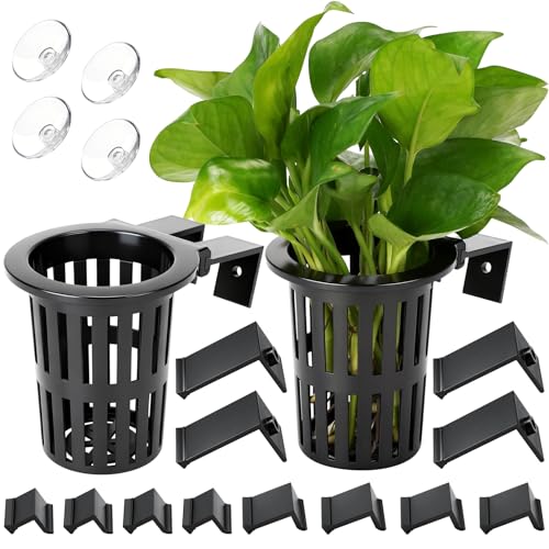 Borlech 2025 New Upgraded Large Aquarium Plant Holder with 1.57-inch Extension Hooks and Suction Cups for Fish Tank Aquaponic Plant Cultivation and Aquascape Accessories Decorations (2 PCS) - color: Black-2 Pieces