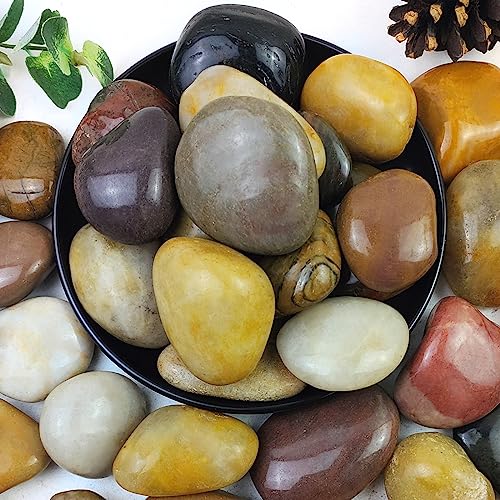 YISZM 5lbs Pebbles for Indoor Plants, 2-3 Inch Mixed Color High Polished Large River Rocks Outdoor Decorative Stones Vase Filler Fish Tank Aquariums Landscaping Garden Outdoor and Indoor DIY - color: Mixed Color, size: 5 Pounds