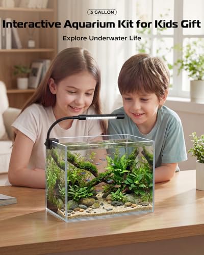 Glass Fish Tank Kit, 3 Gallon Betta Fish Tank Aquarium Starter Kit with Filter, Lights, Lid, for Betta, Goldfish, Small Fish or shrimg，Clear - color: Transparent, size: 3 Gallon