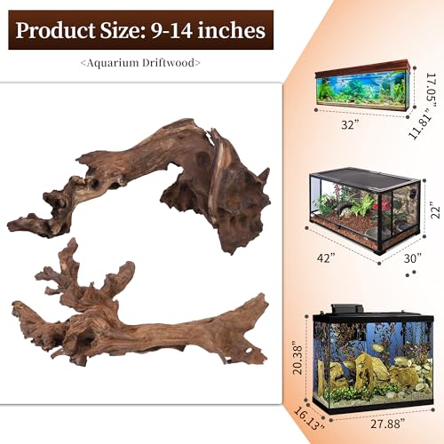 majoywoo Natural Large Coral Driftwood for Aquarium Decor Reptile Decor, Assorted Driftwood Branch 9-14" 2 Pcs, Fish Tank Decoration… - size: Mopani Driftwood 9 to 14 Inch (Pack of 2)