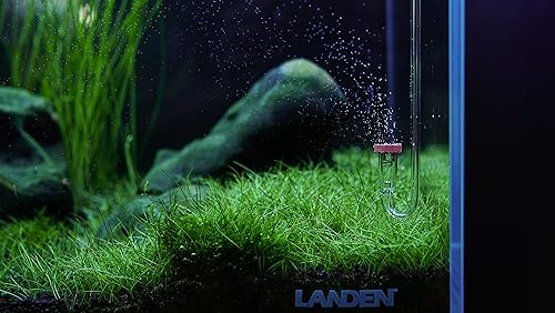 LANDEN AERVITA CO2 Diffuser Kits, Nano-Sized Ceramic diffusing disc Professional Aquarium CO2 High-Efficiency S Size with Suction Cups and Silicone air Hose for Aquarium Tank 10-30gal (40-110L) - size: S-13mm