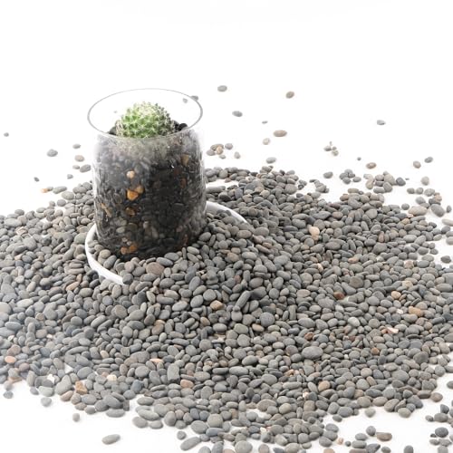 Decorative River Rocks Pebbles for Succulents, Cacti & Gardens, Aquarium Gravel, Fish Tank Rocks, 2.4 lb - color: Black-Small, size: 2.4lb