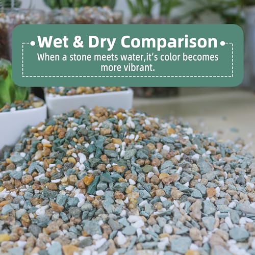 3lb Mix Rocks for Plants in Door -Mix Perlite,Maifanitum Stones,Zeolites Rocks for Bonsai Succulent Cactus Potting Soil and Vase Fillers, Fairy Gardening,Top Dressing - color: Mix Rocks, size: 3lb
