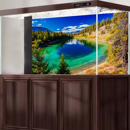 Majestic Lake Aquarium Background Aquamarine Blue-Green Shades Five Lakes Fish Tank Background Scenic Serene Pine Trees Terrarium Backgrounds Tranquil Valley Lakes Reptile Tank Backgrounds 24x12in - color: Blue_Green, size: 24(W)x12(H)in