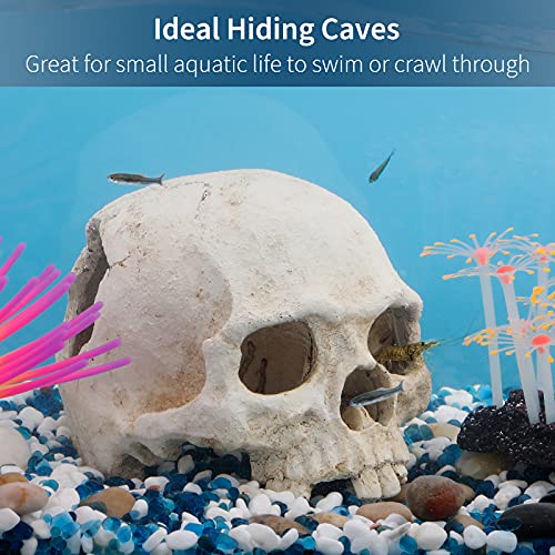 Uniclife Aquarium Skull Reptile House Decor Resin Head Skeleton Ornament for Tank Landscape Decorative Hideout Cave Shelter for Small Fish Shrimp Snail Gecko Spider Lizard in 5-20 Gallon Fish Tank - color: Skull Reptile House