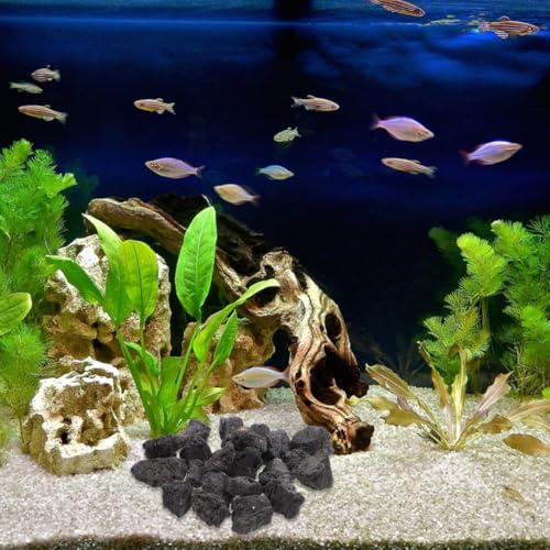 UKCOCO 1-1.6 Inches Natural Black Lava Rock for Aquarium and Plants, 200g/0.44Lb Volcanic Rocks Decorative Stones for Fish Tank Filtration, Aquascaping, Terrarium and Potted Plants