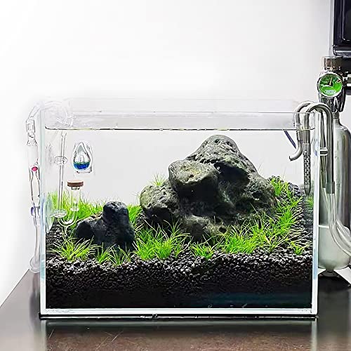 Allcolor Artisan Grade Ultra Clear Rimless Aquarium Tank, Low Iron Glass Fish Tank for Professional Aquascaping and Planted Layouts, 6-60 Gallons (6Gal-Top Glass Canopy) - size: 6Gal 14.1" L × 10.2" W × 10.2" H