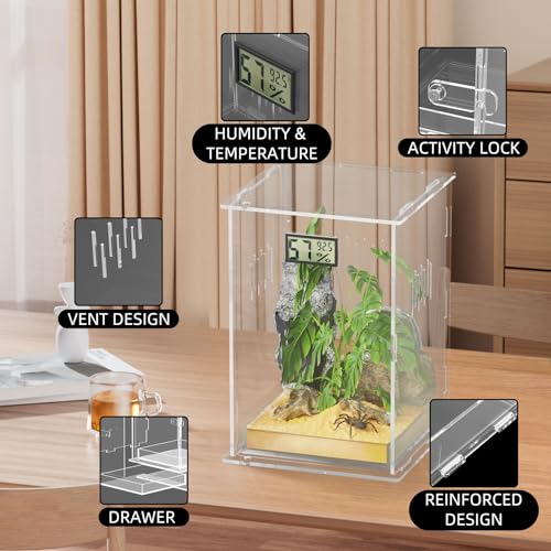 Reptile Terrariums, with Temperature Hygrometer, 7.1"x7.1"x11.8" Acrylic Reptiles Breeding Box Terrarium Cage Tank for Small Reptile Insect Home Office (Arboreal Large) - size: Arboreal--L (Tray)
