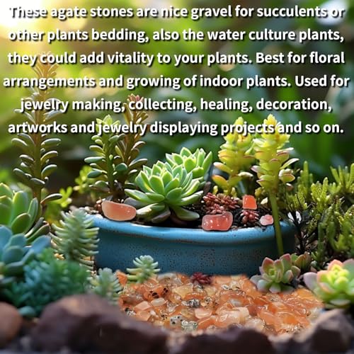 0.45 LB Polished Agate Stones Natural Decorative Rocks for Outdoor Decoration Home Decoration Fish Tank Vase Filler DIY Handmade Bamboo Succulents Cactus (South Red Agate) - color: South Red Agate