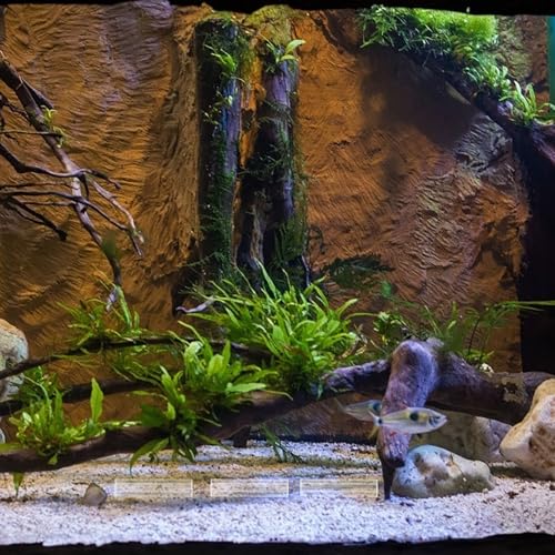 5-Hole Acrylic Shrimp Shelter Fish Hiding Cave Aquarium Landscaping Decor for Shrimp Breeding and Turtle Fish Tank Ornament